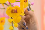 The art of making clay flowers