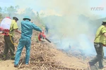 Da Nang forest fire service on high alert due to heat wave