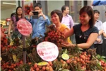 Thanh Ha litchi festival opens in Hai Duong