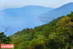 Son Tra Peninsula - gift of The Creator