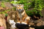 Local ceramics maker introduces stunning tiger figurines 