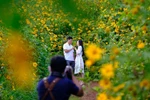 Da Lat among world's top destinations for flowers