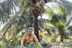 Tra Vinh exports organic coconut flower nectar to Australia