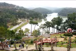 Da Lat – Vietnam’s most-searched destination for Tet holiday: online travel platform