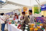Hanoi recognises 104 four-star OCOP products in 2023