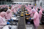 Vietnam fetches nearly 2 billion USD in fisheries exports