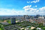 Revised Land Law better suited to overseas Vietnamese