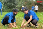 Youths' efforts yield socio-economic fruits