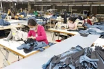 Local firms advised to be cautious when exporting to Spain