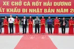 PM urges prompt resumption of work after Tet holiday