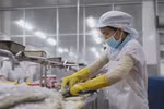 Seafood exports enjoy bright prospects in Swiss market