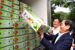 Vietnam 13th largest mango supplier for US