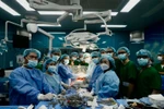 Vietnamese doctors master important techniques in organ transplant