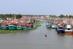 Enterprises want clearer regulations on seafood production