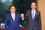 Vietnamese, Indonesian leaders hail development of multifaceted cooperation