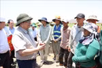 PM inspects drought combat in Ninh Thuan