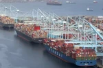 Red Sea tension likely to affect garment and footwear exporters from Q2: Insiders