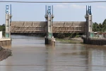 Saltwater intrusion threatens Mekong Delta rice crop