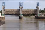 Saltwater intrusion threatens Mekong Delta rice crop