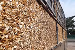 China becomes Vietnam's largest wood chip export market