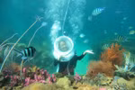 Phu Quoc dubbed "Maldives of Vietnam" 