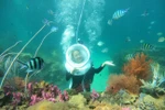 Phu Quoc dubbed "Maldives of Vietnam" 