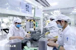 Investor confidence gains traction on improved business climate