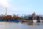 Nam Dinh province resolved to fight IUU fishing