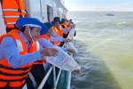 Bac Lieu releases over 6 million shrimp fry to regenerate aquatic resources