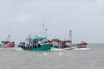 Bac Lieu increases local fishermen's awareness of IUU fishing