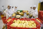 Breakthroughs recorded in fruit, vegetable exports in Q1