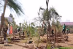 The launch of a tree-planting project named the “Dream of the jungle” for a green Vietnam