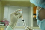 Vietnam hard at work developing COVID-19 vaccines