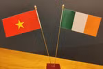 Strengthening Vietnam-Ireland relations