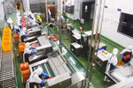 Hanoi focuses on boosting farm produce processing industry