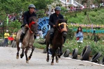 Reviving horse racing tradition in Lao Cai’s Bac Ha