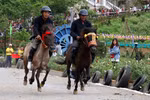 Reviving horse racing tradition in Lao Cai’s Bac Ha
