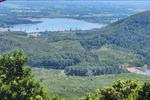 Forestry production value targeted to grow 5.5% annually in next five years