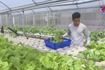 High-tech farming thriving in southern region