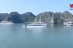  Cat Ba listed among must-visit national parks by US website