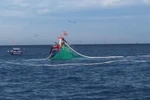 Ly Son fishermen cling to the sea
