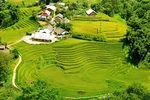 Visitors flock to Sa Pa to join Korean Culture Day