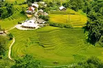 Visitors flock to Sa Pa to join Korean Culture Day