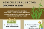 Agriculture sector's growth in 2021