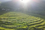 Pu Luong – a paradise amidst jungle for travellers on budget