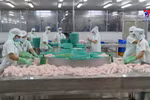 Tra fish exports to UK soar six-fold