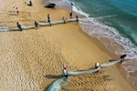 Fishermen pull in nets in Da Nang city