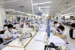 Hanoi: Newly-established enterprises up 6% in 10 months