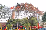 Hanoi among most favoured destinations in Southeast Asia: Travelbook