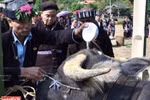 Buffalo worship of Lu ethnic group